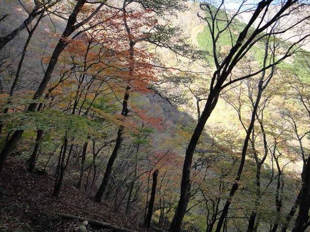 DSC09771_R