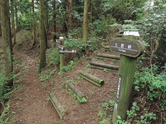 DSCN7859_R