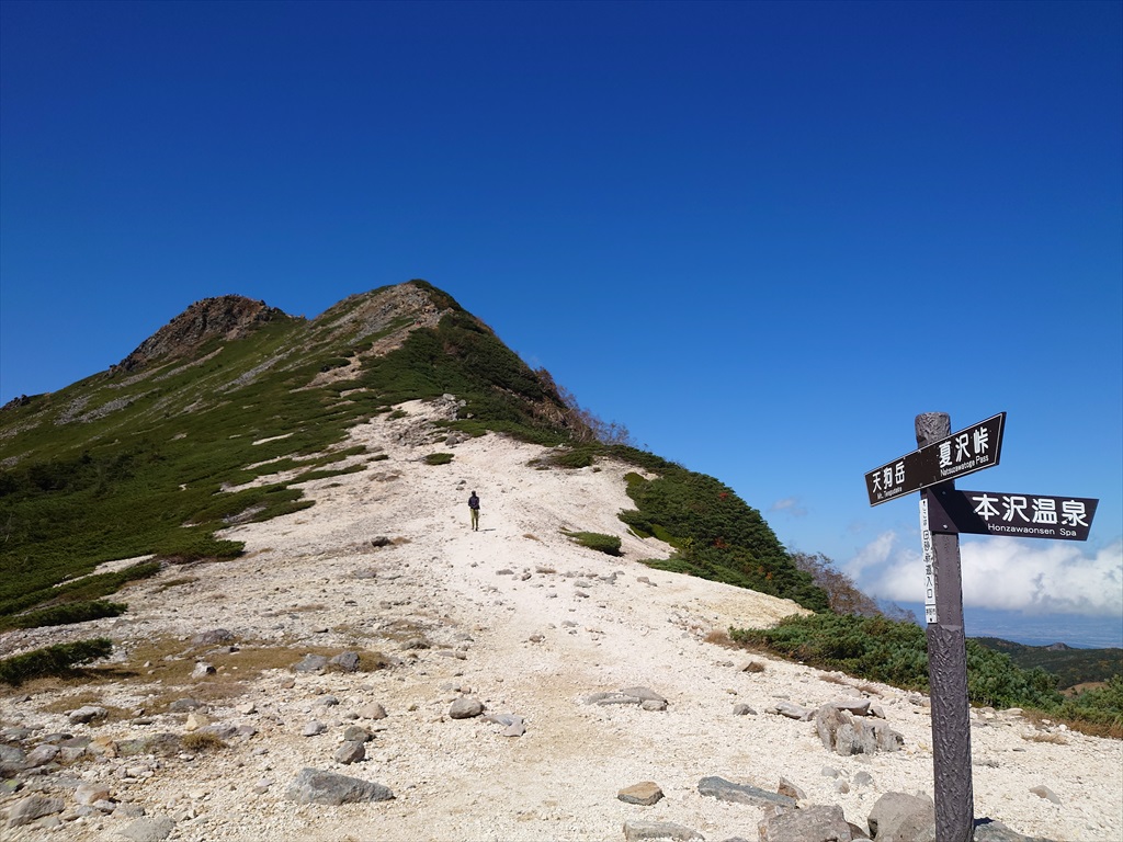 【夏休み】行ったつもりで北海道みやげ『竹根に佇む竹製のオジロワシ』☆超絶技巧☆ こんなんも来た #どっちも季節来遊魚 #ゲンロクダイ