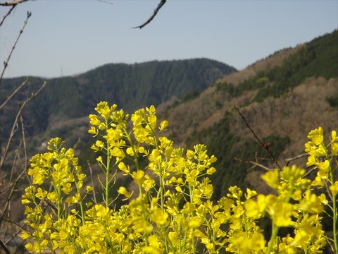 DSC06756_R