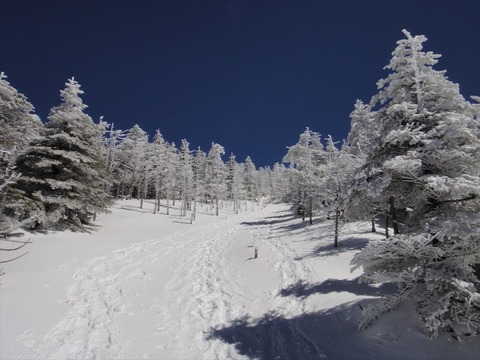 DSC06654_R