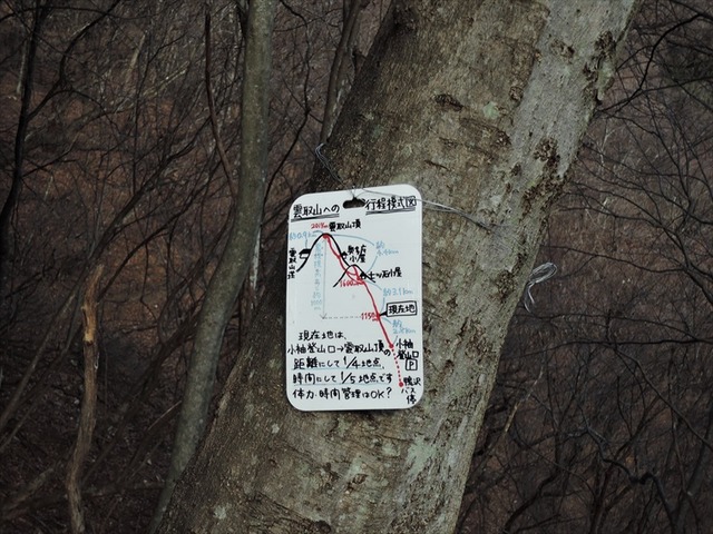 DSCN8336_R