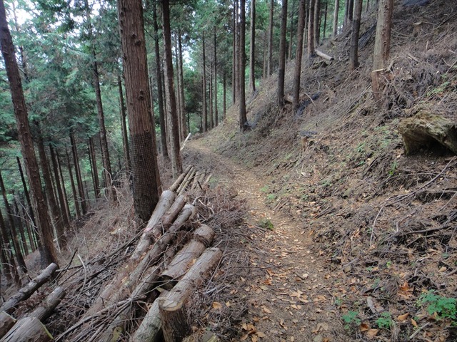DSC09958_R