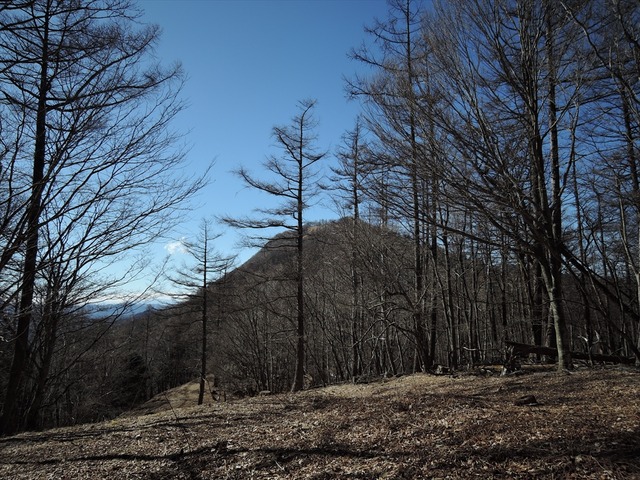 DSCN4021_R