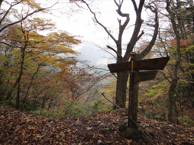 DSC09980_R