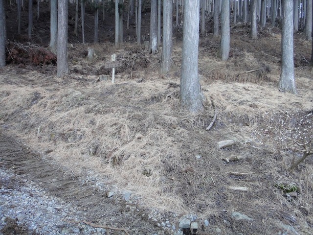 DSC00959_R