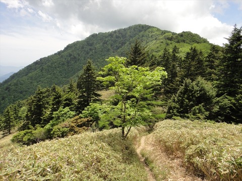 DSC07790_R
