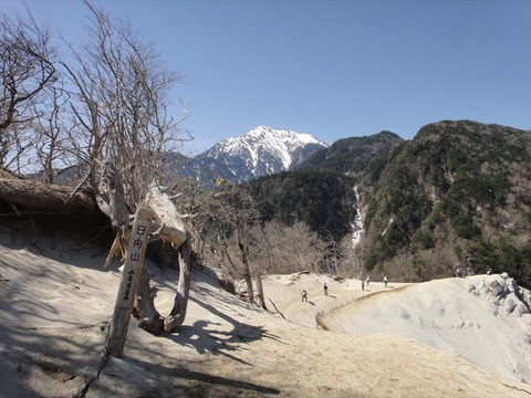 DSC07263_R