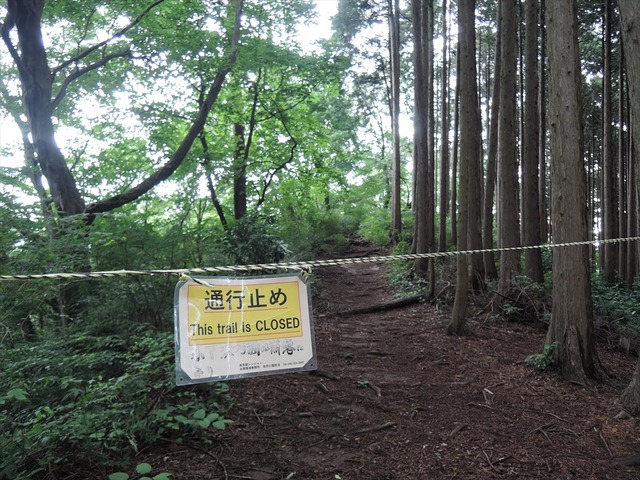 DSCN4180_R