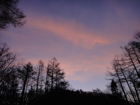 DSC07174_R