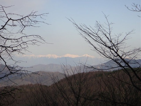 DSC03527