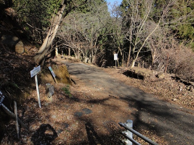 DSC00935_R