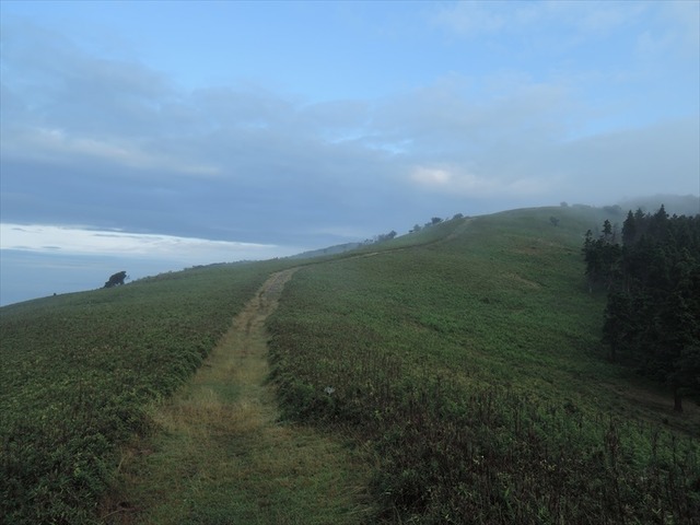 DSCN7849_R