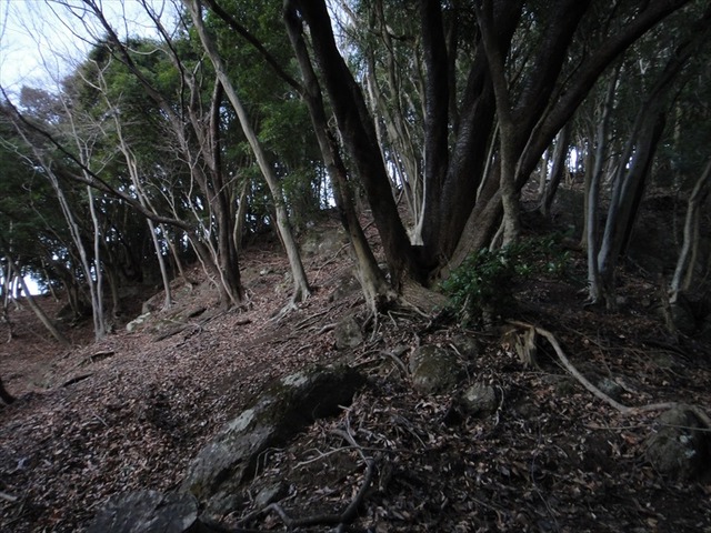 DSC00806_R