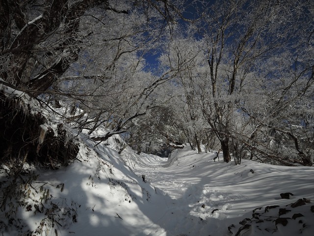 DSCN3793_R