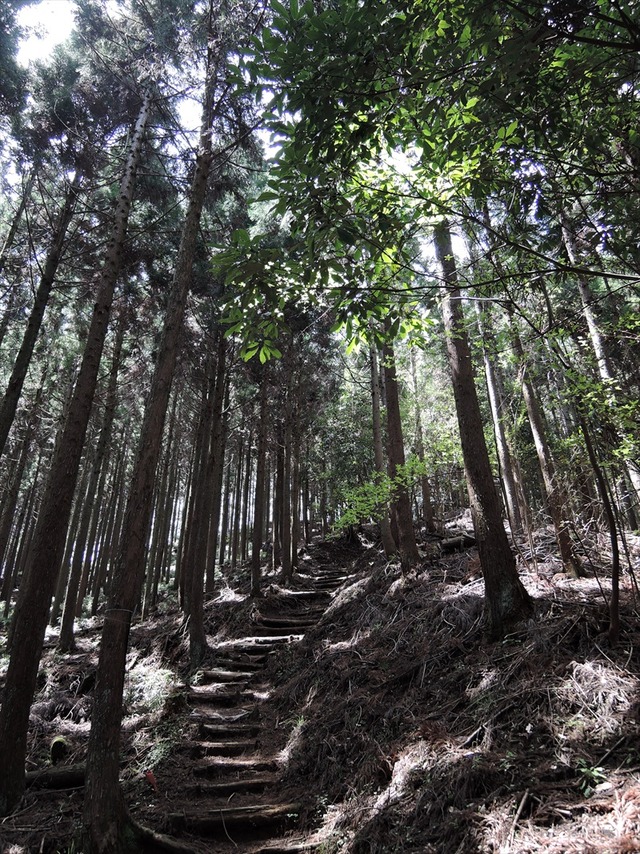 DSCN4845_R