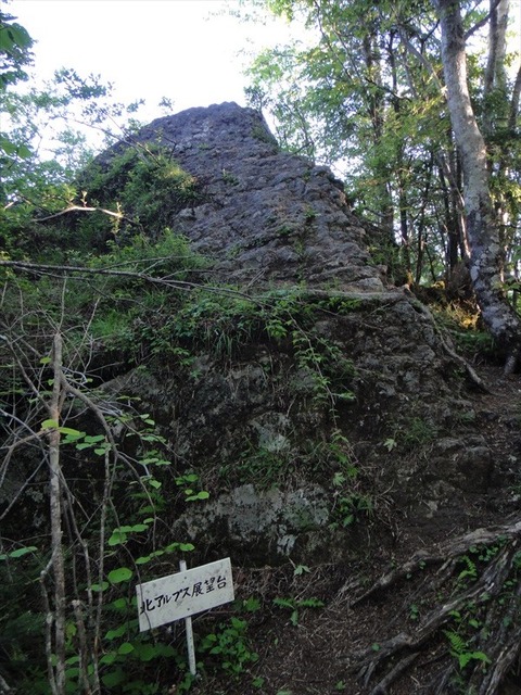DSC07883_R