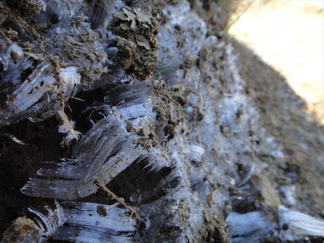 DSC09684_R