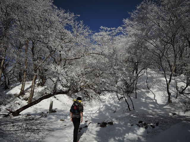 DSCN3785_R