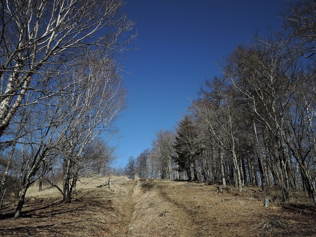 DSCN3996_R