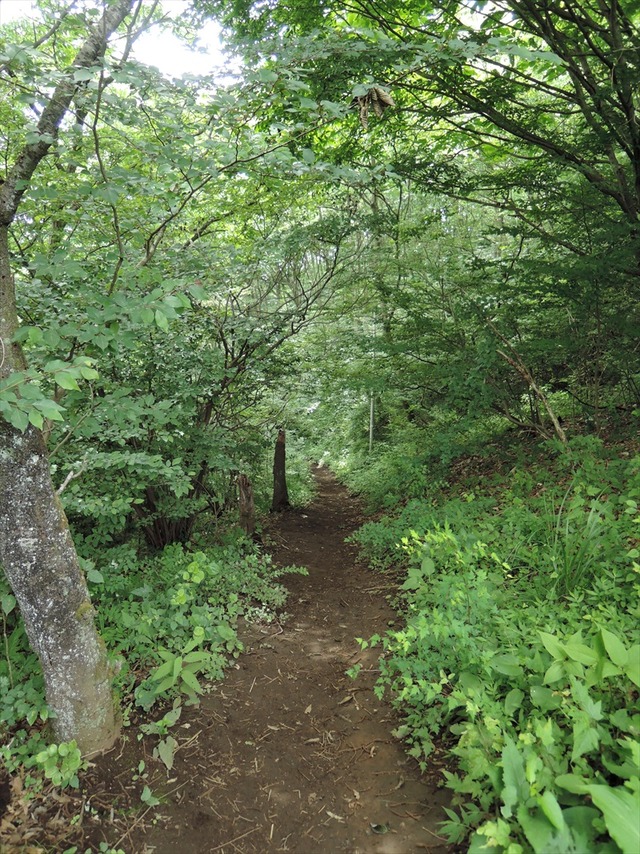 DSCN5467_R