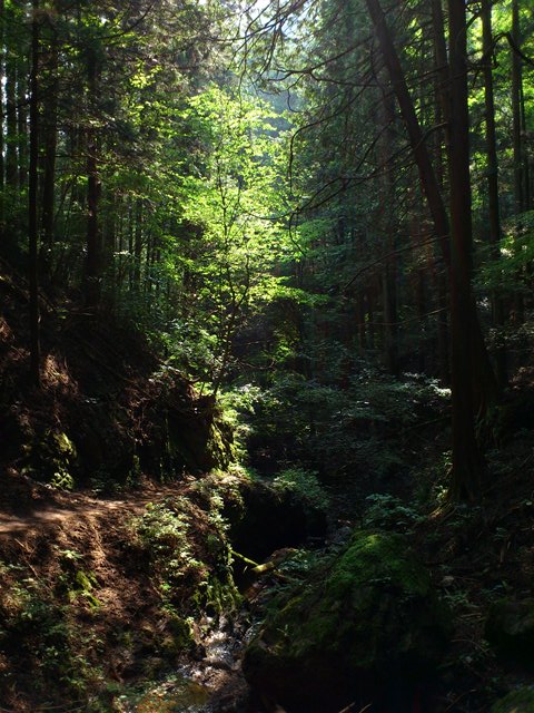DSC_0446