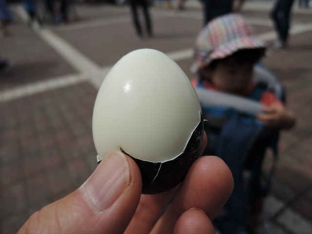 DSCN5847_R