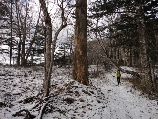 DSC00144_R