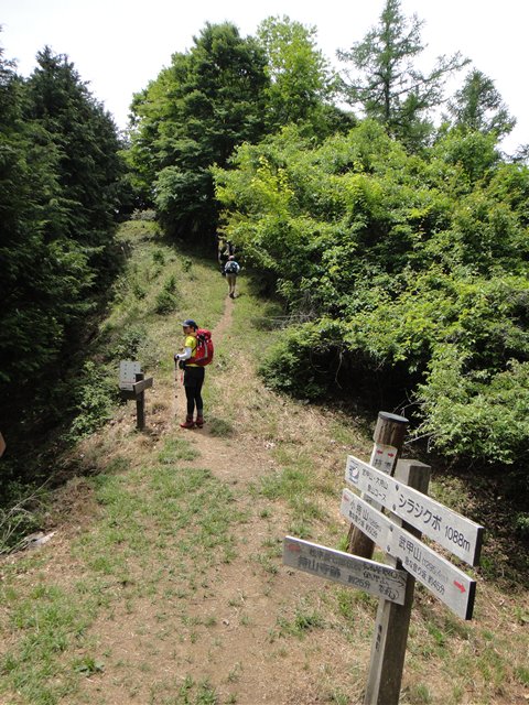 DSC03870