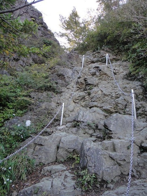 DSC05441