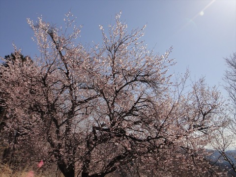 DSC06771_R