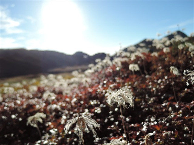 DSCN3323_R