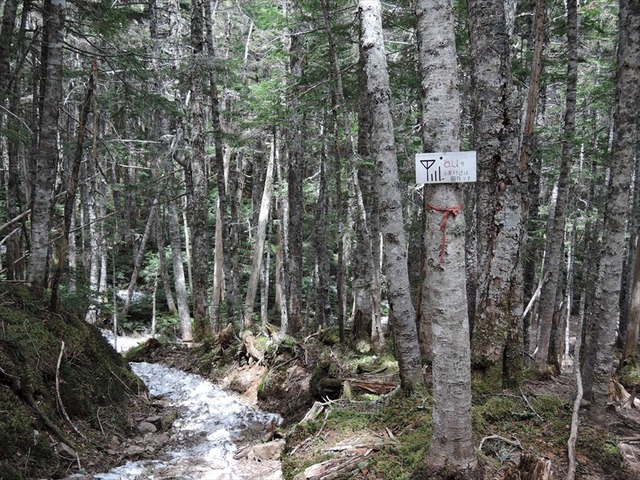 DSCN1989_R