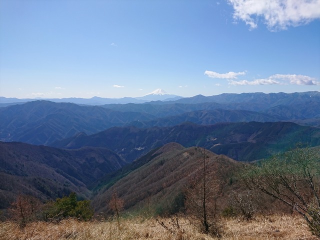DSC_2328_R