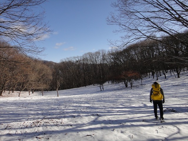 DSC00336_R