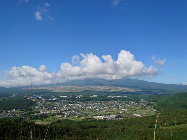 20230604_075223_R