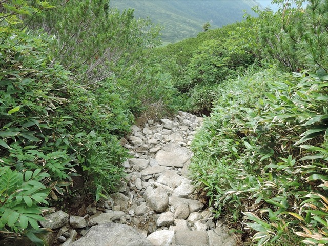 DSCN3011_R