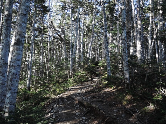 DSCN8700_R