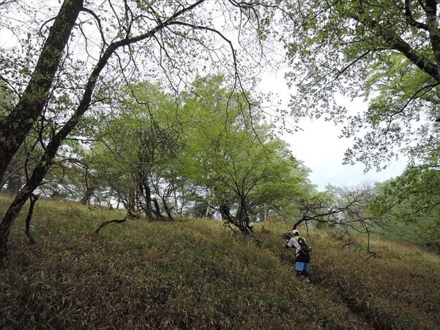 DSCN1729_R