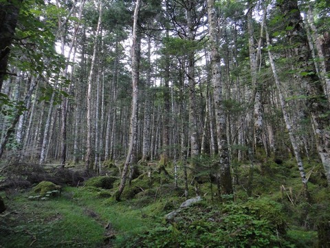 DSC04653