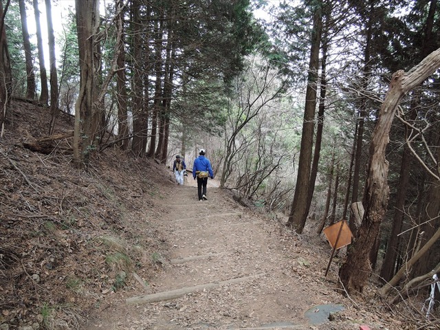 DSCN4363_R