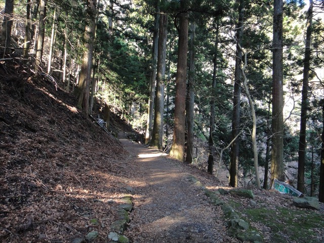 DSC00919_R