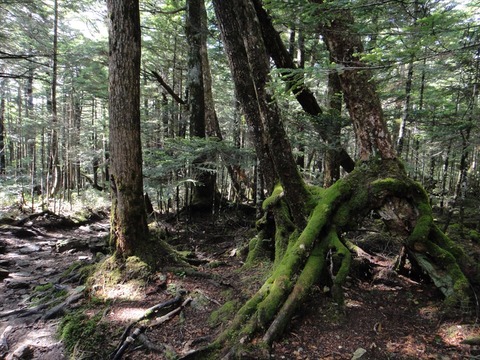 DSC08148_R