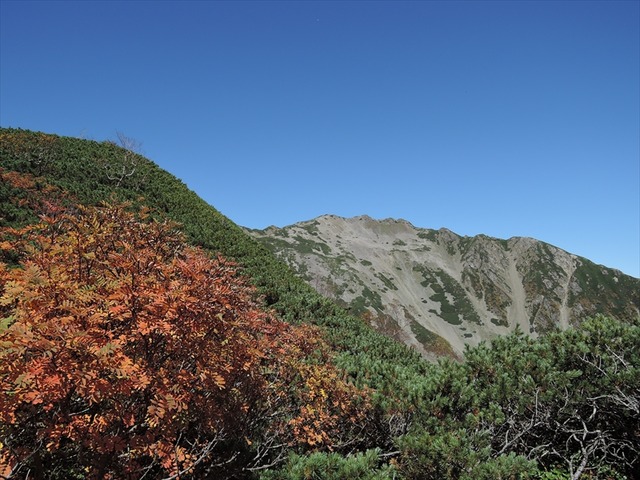 DSCN8792_R