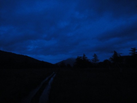 DSC08638_R