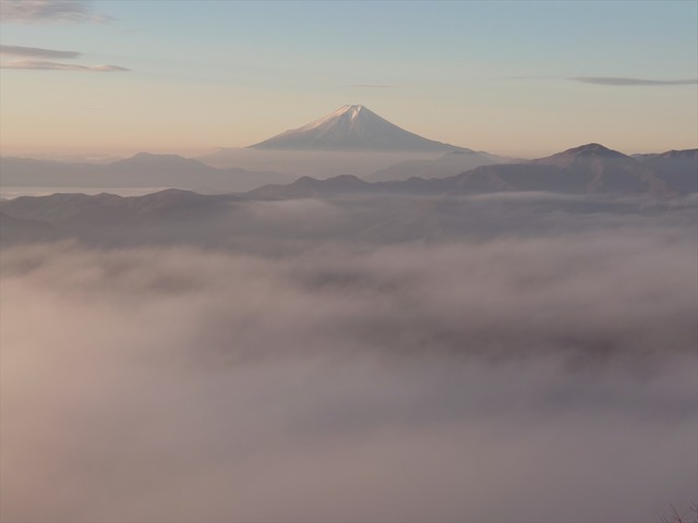 20201206_070507_R