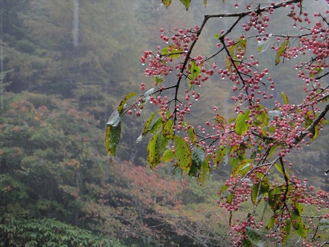 DSC09411_R