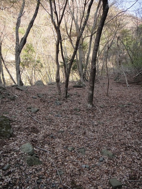 DSC06839_R