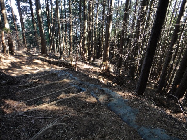 DSC00934_R