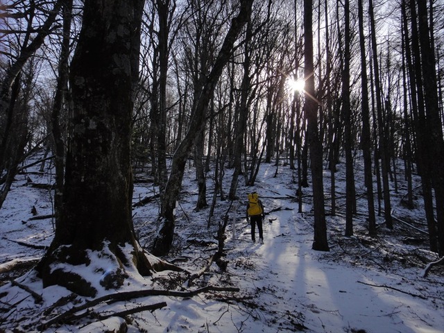 DSC00325_R